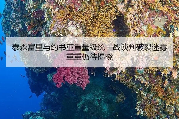 tai-sen-fu-li-yu-yue-shu-ya-zhong-liang-ji-tong-yi-zhan-tan-pan-po-lie-mi-wu-chong-chong-reng-dai-jie-xiao-3-626.jpg